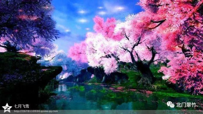 月光影视