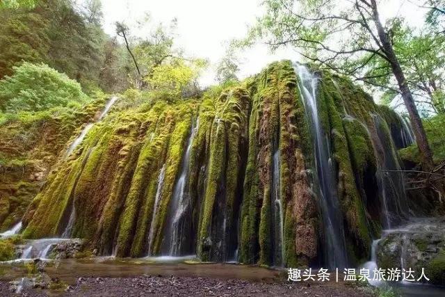 相亲究竟是否需要确认恋爱关系?-智能问答,快速解答你的疑问