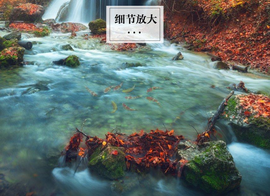 植物大战僵尸4