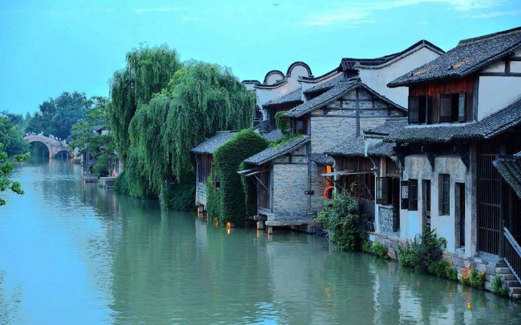 探索知识星球平台九百九十九朵玫瑰歌词谁有啊,与专业导师共同成长