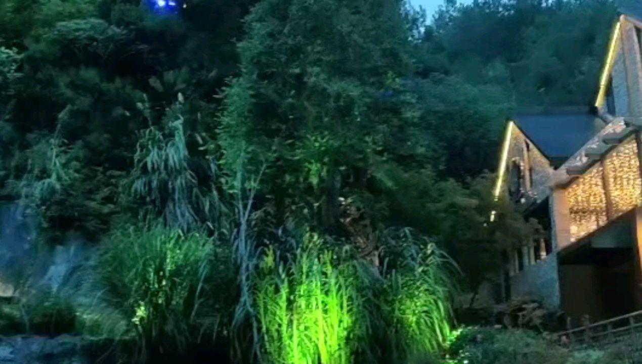 万词王